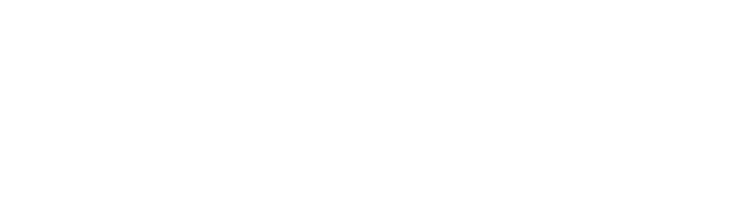 FELFEL Antwerpen logo